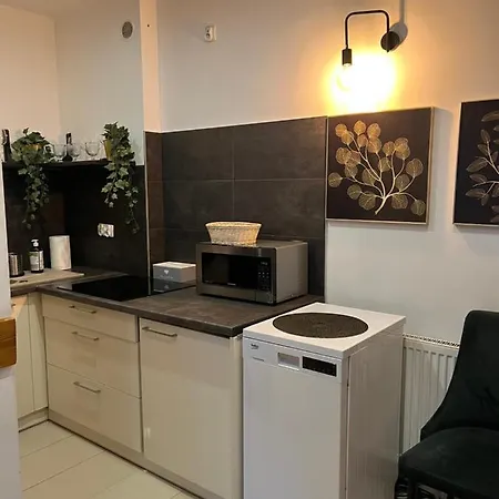 Liliowe Turnie Basen Ul Nowotarska Апартаменти *